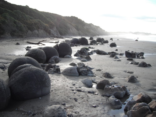 navigatorsnorth:Moeraki Boulders - July 2013So this was a really cool little thing that we just happ