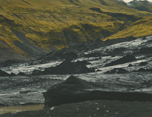 redcapcards:  Beautiful! teaganwhite:  iceland is a beautiful place that you should totally visit if you like seabirds, moss, impressive bodies of water, and the vague feeling of perpetually being haunted by something vast and unknowable.  here are a