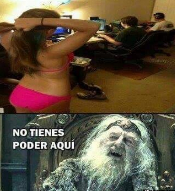 Bienvenido a post de humor y gatos
