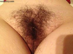 Mature Hairy Pussy