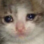 sadsadpanda