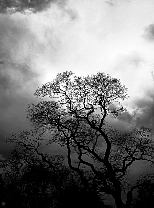 beautifulgreyscale:Source | Edit