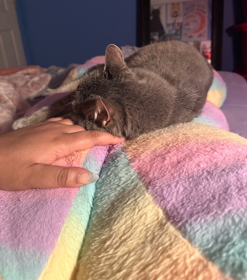 My Baby Nyla, Shes So Sweet