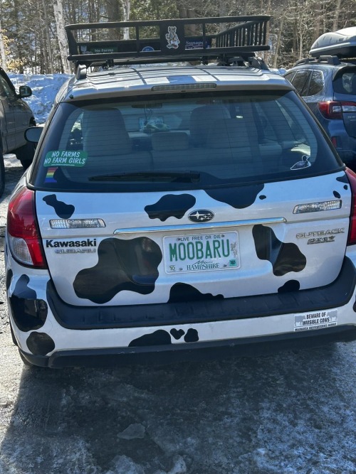 the back of a Subaru Outback that is white with black spots to imitate cow print. the license plate says moobaru