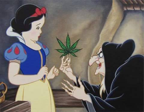 lampidipazzia:  Disney ladys’ real life. 