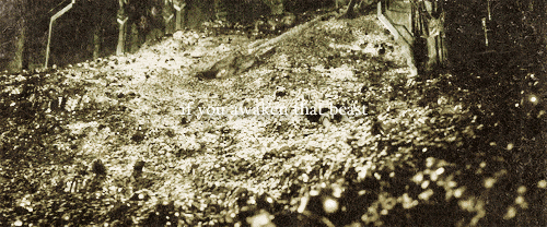areddhels:That is what you will bring upon us!Dragon fire and ruin.