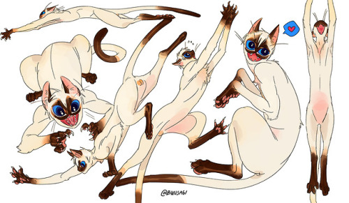 bwubwudoodle:  There he is, Siamese cat boy for funsies 😽❤️ He’s trying his best not to destroy your entire house furnituresOld design