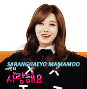 eunjiprotectionsquad:a very smiley puppy ☀️