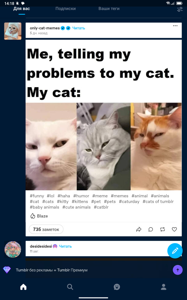 Tumblr media
