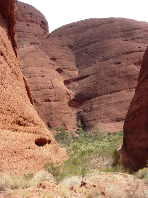 2005: 36 conglomerate domes make up Kata Tjuta (formerly known as The Olgas), which are 40km west of