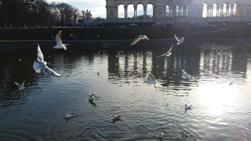 Schönbrunn Gloriette