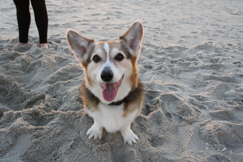 housefleming:the handsomest