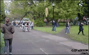 gifsboom:Hamster Ball. [video]