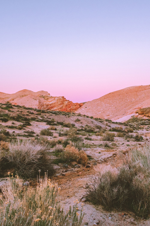 leahberman:red rock canyon state park, california