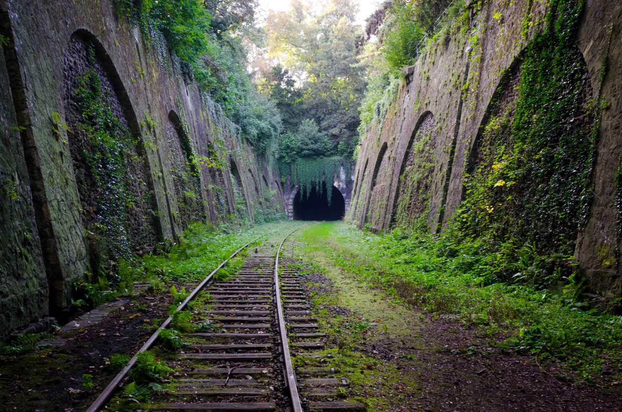 thibaudpoirier:  La Petite Ceinture, Parc Montsouris, Paris 