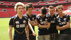 harryniips:  x 