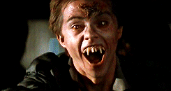 jellymonstergirl:  Fright Night (Tom Holland | 1985) 