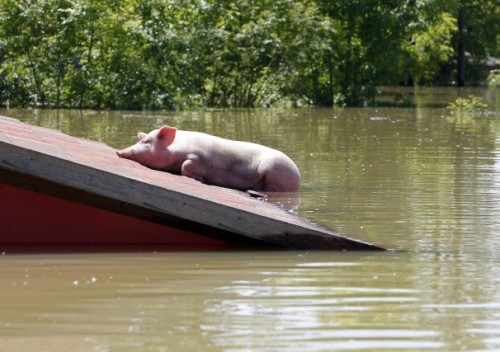 When hurricanes, earthquakes and other natural disasters happen in America, other parts of Australia