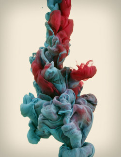  High-Speed photographs of ink dropped into