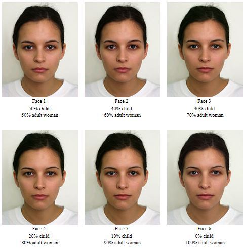 vellicour:  In this 2001 german beauty study, sociologists compiled the “most attractive