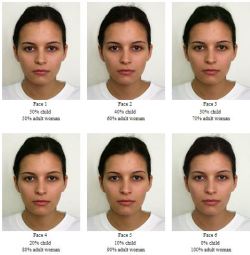 vellicour:  In this 2001 german beauty study, sociologists compiled the “most attractive adult woman faces” and combined them with an “average 4-6 year old face” (effectively creating teen girls) and asked which were the most attractive. very