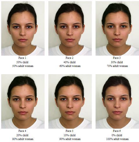 vellicour:  In this 2001 german beauty study, sociologists compiled the “most attractive adult