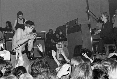 mesuive:  The Idiot Tour, 1977 