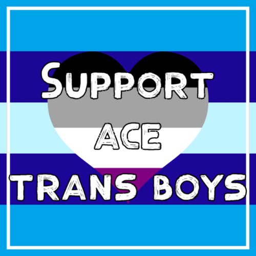 mogaicore:Support trans dudes, they deserve it[ID: Ten graphics with a variation of the trans man pr