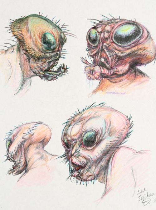 talesfromweirdland:Designs for The Fly (1986) by Stephan Dupuis.