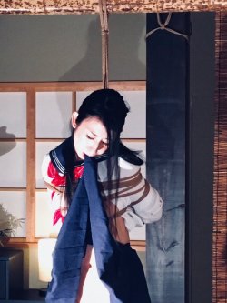 japanesebdsmofficial:Shibari&amp;Photo Tenma HaruModel Reika