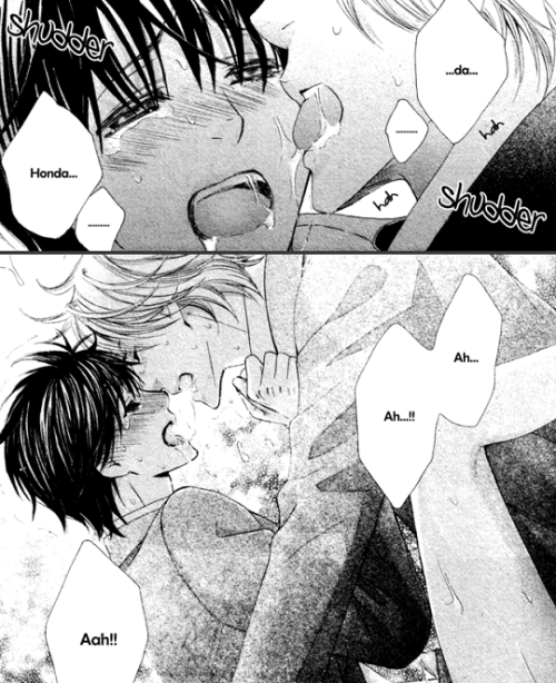 sugoi-yaoi:  Oujisama Ni Narenai by Kamon Saeko