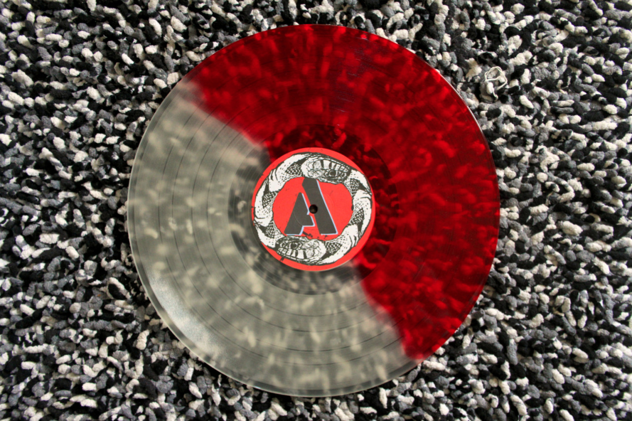 PHOENIX BODIES - ‘Raise The Bullshit Flag'
Split transparent / transparent red LP
Slave Union
Limited to 500 copies.
A modern grind classic in my humble opinion…