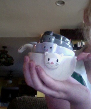 republicannibal:  piertotum-locomottor:  cuteleesi:  kingbard:  cuteleesi:  kingbard:  water-music:   Enjoying some dark chocolate almond milk in my favorite cup before work it’s the cutest cup :3   i see your cat cup and raise you a cat bowl    Your