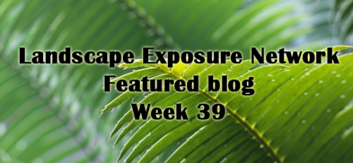 landscapeexposurenetwork: This week’s featured blog is @microcvts! “ I’m Viv, from