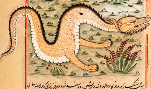 endlessregression:kardiologn: Farah’s Encyclopedia of Nature, Yazdī, al-Muṭahhar ibn Muḥammad,