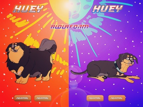 little-tunny:Last year when we shaved huey goop attacked him & this summer is a marked improveme