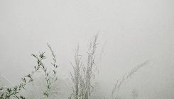 rickdaryl:  Listen, people are still alive in there. We’re still here. Our friends are in there, people who care about you. My pregnant wife. You just want to run away, be afraid, forget about this? Just go. But that’s how you lose people. Even after