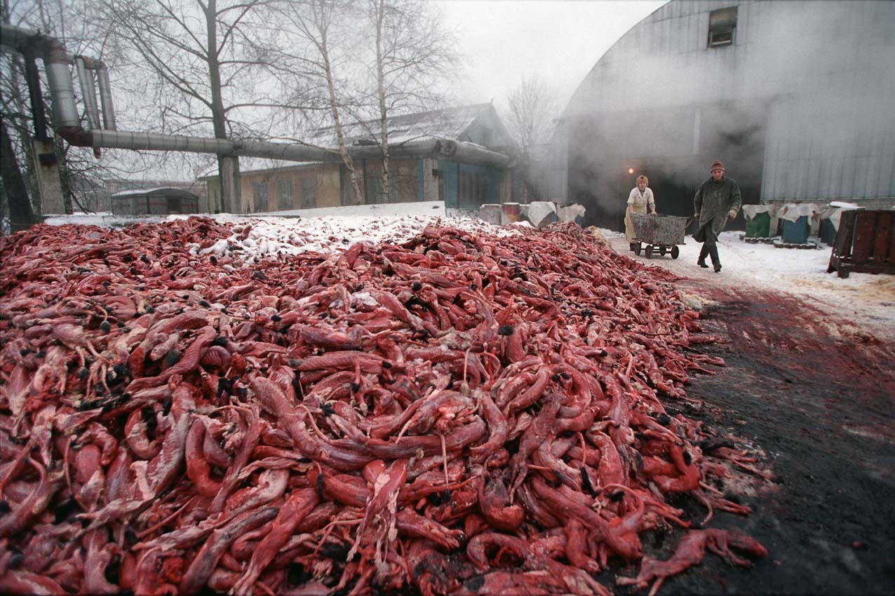 animal-rights-awareness:Waste from fur factories. This is absolutely horrific. Please