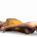 shitbrainratface:destinytomoon-deactivated202006:Nobody:One piece female characters: