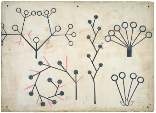 magictransistor:Christopher Dresser - Botanical lecture diagram [1855]