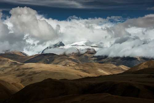 gravitationalbeauty:  Soft Cream by CoolbieRe 