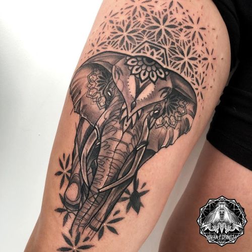 Nos gustan los #elefante Y a ti ?  #johanespinoza @tattoome21.es #tattoome21.es #tattoome #fuengirol