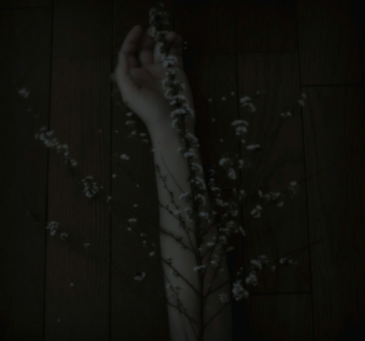 lovelycloudyday-photography:© lovelycloudyday
