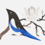 obtuse-bird