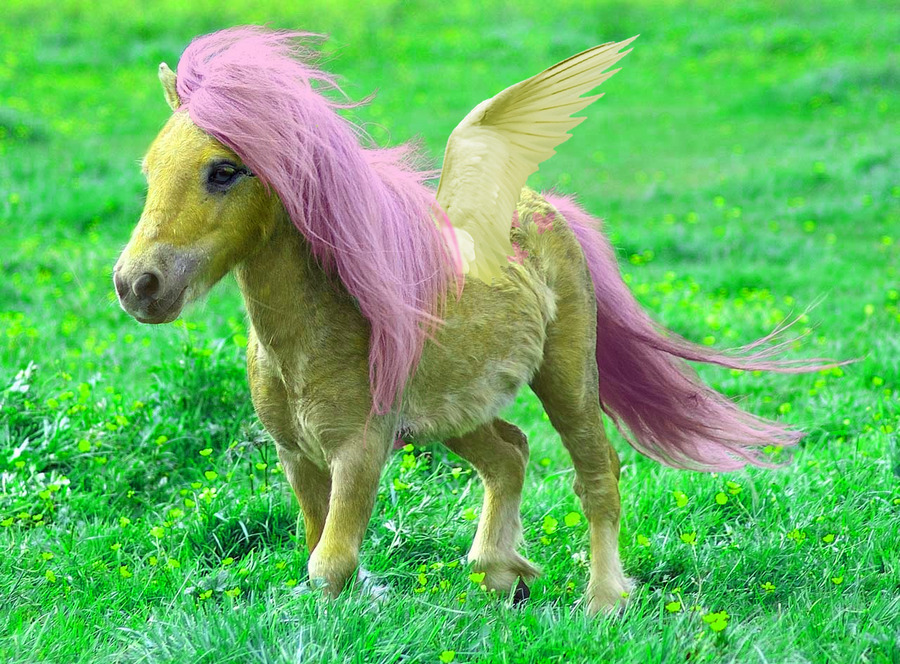 Real Fluttershy by ~eruanna so LITTLE