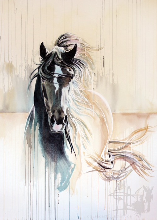 equineart: “November Wind"  41x30” porn pictures