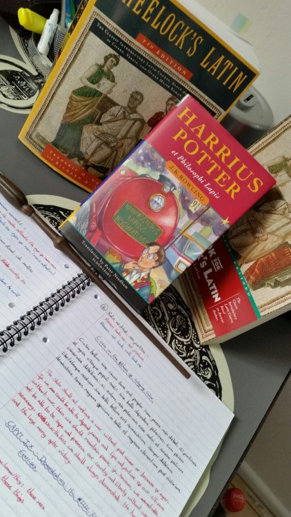 charlie-and-books:Saturday, study day!Ita vero!