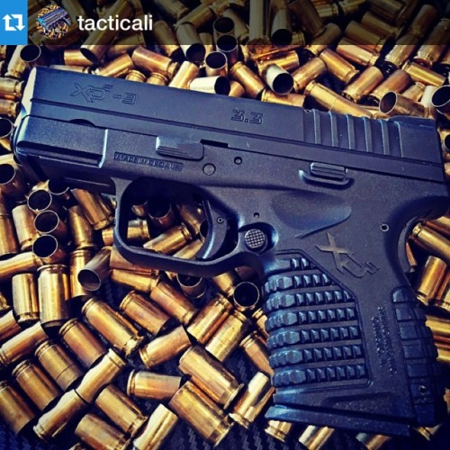 who-loves-guns-i-love-guns:  Repost @tacticali ・・・ Springfield XDS #pewpewpew#pewpew #guns #pistols #gun #shooting #handgun #igmilitia #handguns #instadaily#gunsdaily #gunstagram #gunporn #9mm #gunsdaily1 #weaponsfanatics #letsgopewpew #gunfanatics