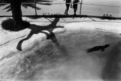 jonasgrossmann:paul hester… untitled (seal