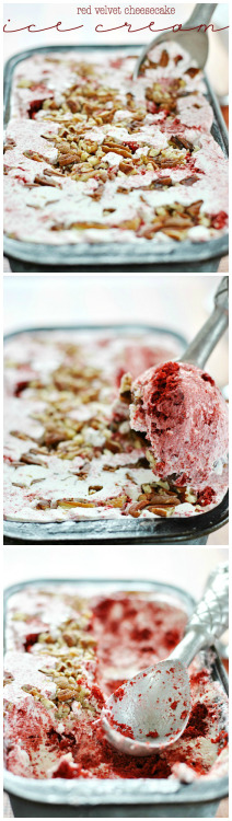 nerdyfoodiesrecipes:Red Velvet Cheesecake Ice Cream